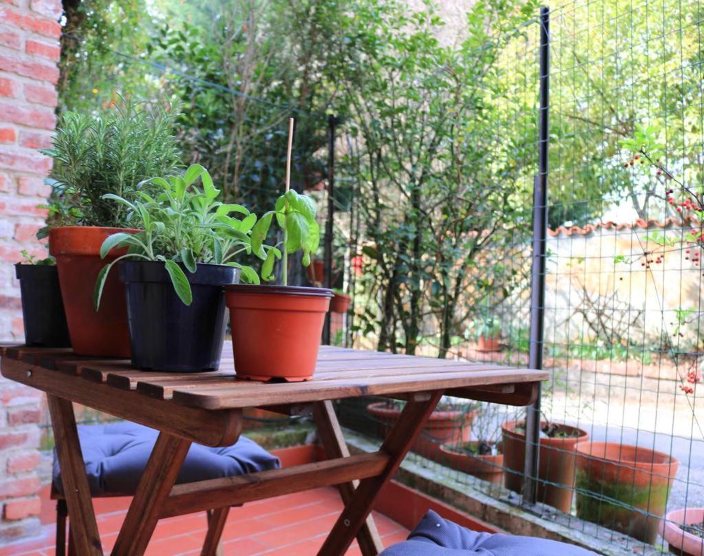 Apartmán La Casa Dei Nonni Pino Torinese Exteriér fotografie